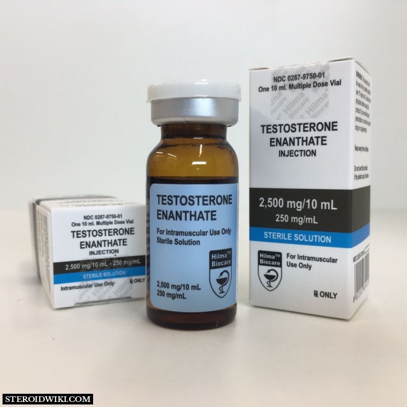 Steroid Profile: Testosterone Enanthate