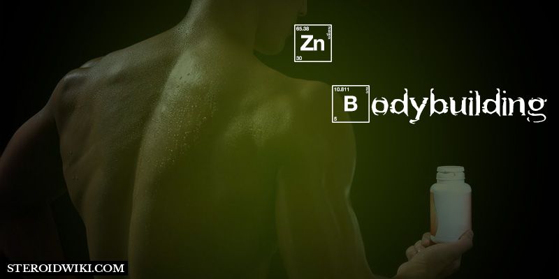 Role of Zinc in Bodybuilding