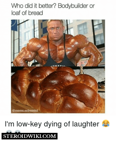450_450__1554975100_who-did-it-better-bodybuilder-or-loaf-of-bread-meme-23644596.png