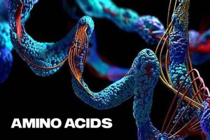 The Great Amino Acids