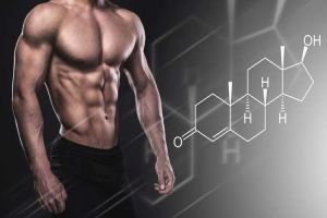 Testosterone's role in Bodybuilding
