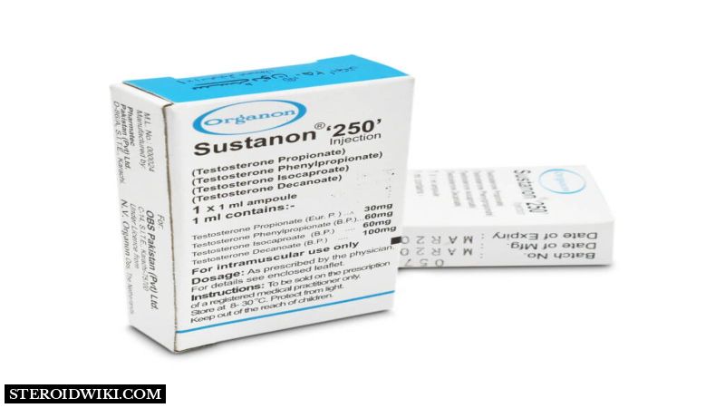 Anabolic Steroid: Sustanon 250